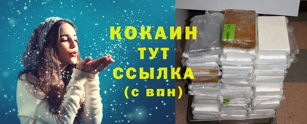 кокс Алексин